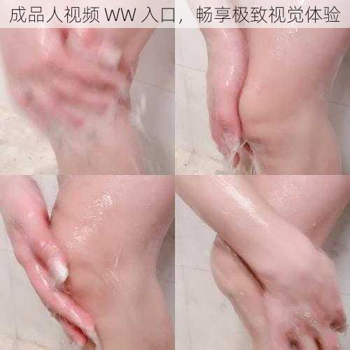 成品人视频 WW 入口，畅享极致视觉体验