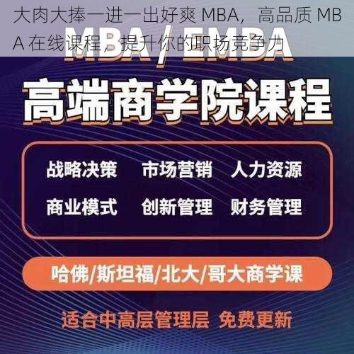 大肉大捧一进一出好爽 MBA，高品质 MBA 在线课程，提升你的职场竞争力