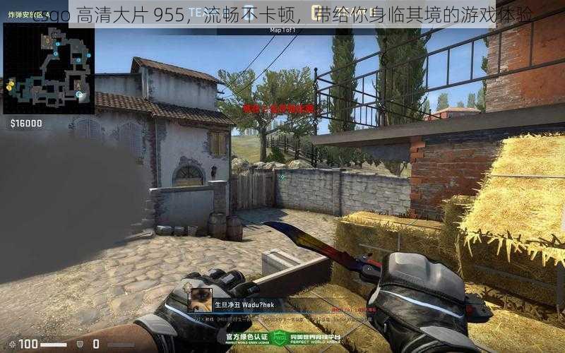 csgo 高清大片 955，流畅不卡顿，带给你身临其境的游戏体验