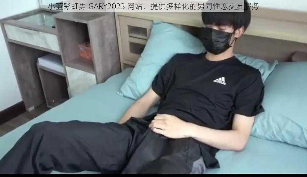 小蓝彩虹男 GARY2023 网站，提供多样化的男同性恋交友服务