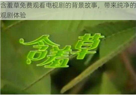 含羞草免费观看电视剧的背景故事，带来纯净的观剧体验