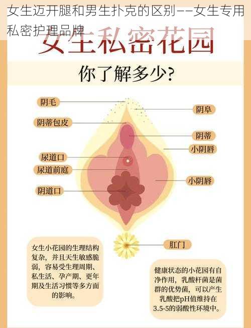 女生迈开腿和男生扑克的区别——女生专用私密护理品牌