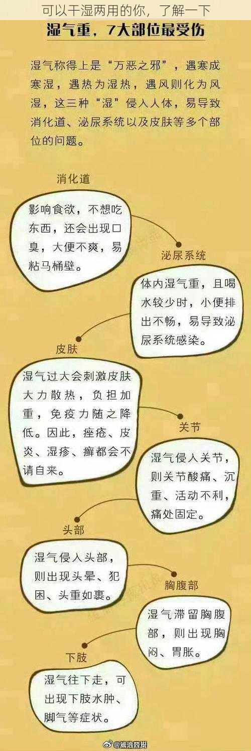 可以干湿两用的你，了解一下