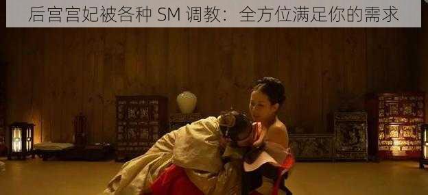 后宫宫妃被各种 SM 调教：全方位满足你的需求