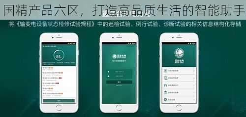 国精产品六区，打造高品质生活的智能助手