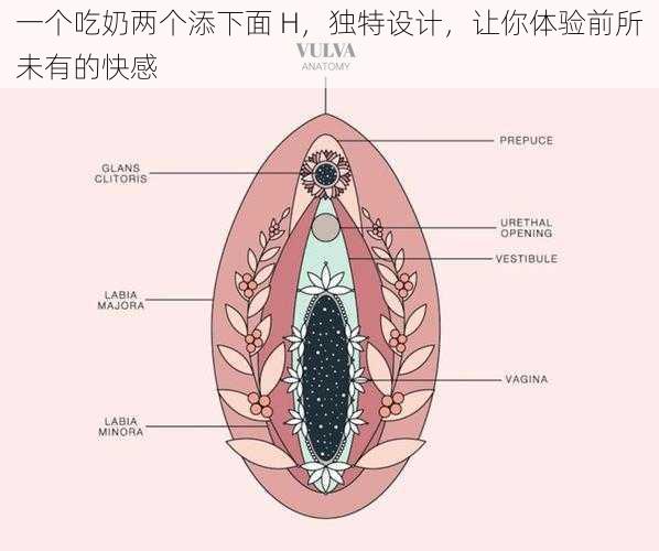 一个吃奶两个添下面 H，独特设计，让你体验前所未有的快感