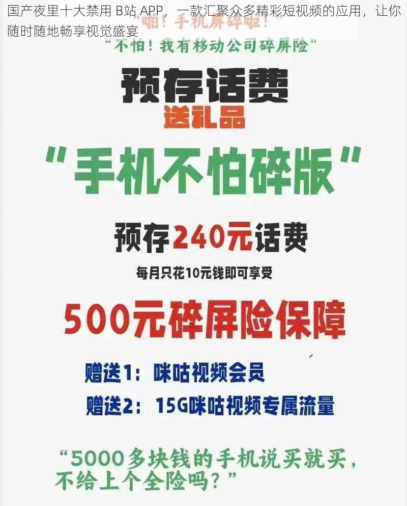 国产夜里十大禁用 B站 APP，一款汇聚众多精彩短视频的应用，让你随时随地畅享视觉盛宴