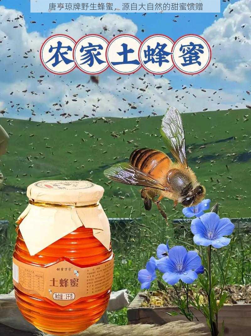 唐亨琼牌野生蜂蜜，源自大自然的甜蜜馈赠