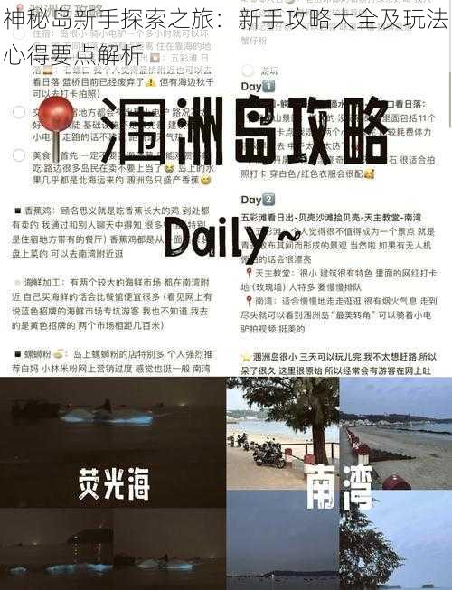 神秘岛新手探索之旅：新手攻略大全及玩法心得要点解析