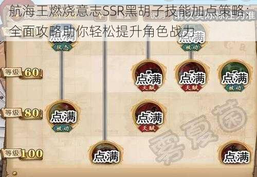 航海王燃烧意志SSR黑胡子技能加点策略：全面攻略助你轻松提升角色战力