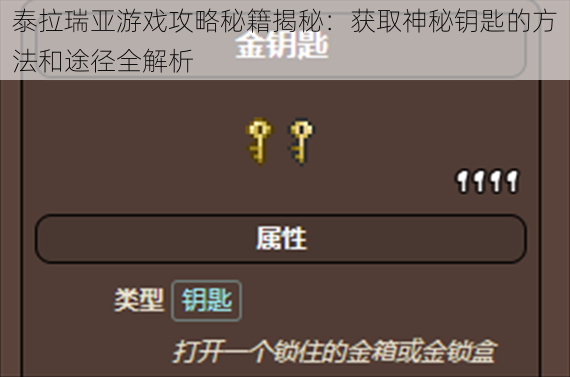 泰拉瑞亚游戏攻略秘籍揭秘：获取神秘钥匙的方法和途径全解析