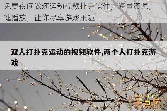 免费夜间做还运动视频扑克软件，海量资源，一键播放，让你尽享游戏乐趣