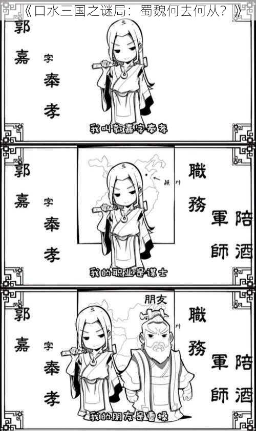 《口水三国之谜局：蜀魏何去何从？》