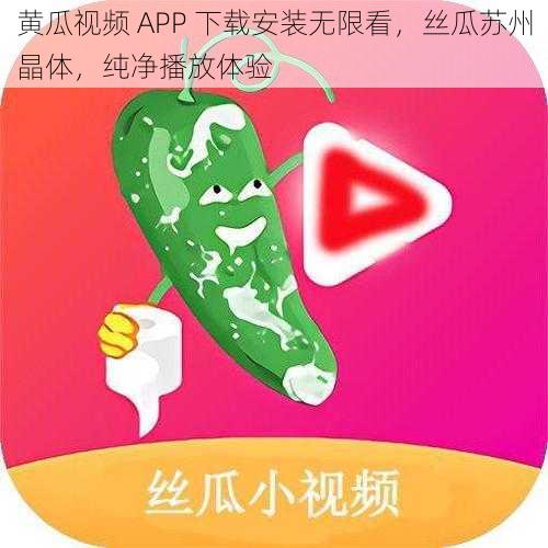 黄瓜视频 APP 下载安装无限看，丝瓜苏州晶体，纯净播放体验