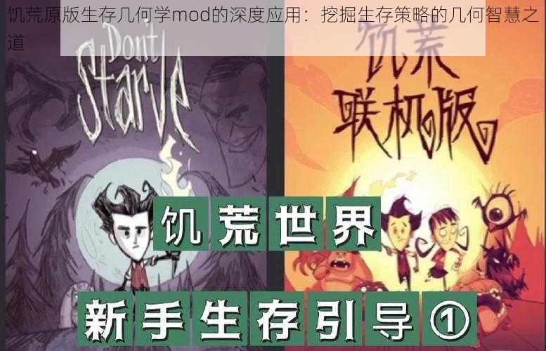 饥荒原版生存几何学mod的深度应用：挖掘生存策略的几何智慧之道