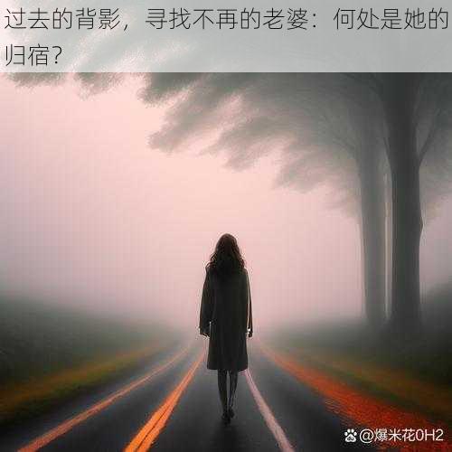 过去的背影，寻找不再的老婆：何处是她的归宿？