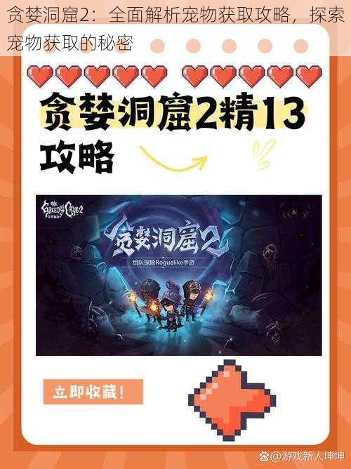 贪婪洞窟2：全面解析宠物获取攻略，探索宠物获取的秘密