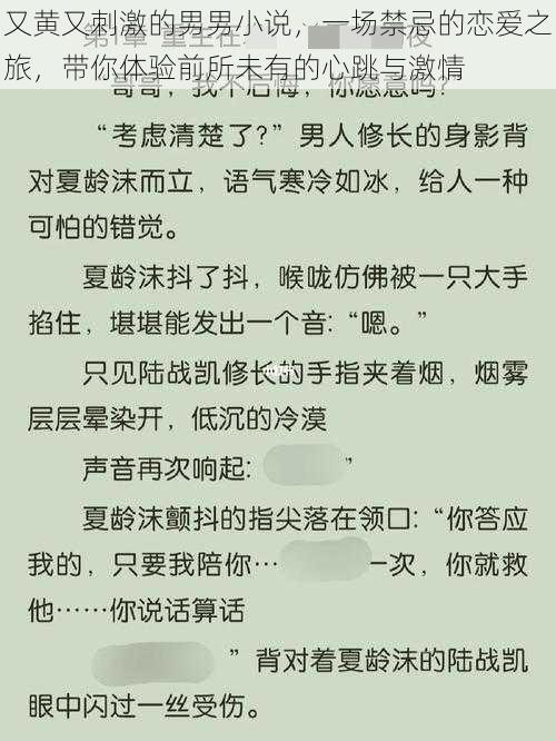 又黄又刺激的男男小说，一场禁忌的恋爱之旅，带你体验前所未有的心跳与激情