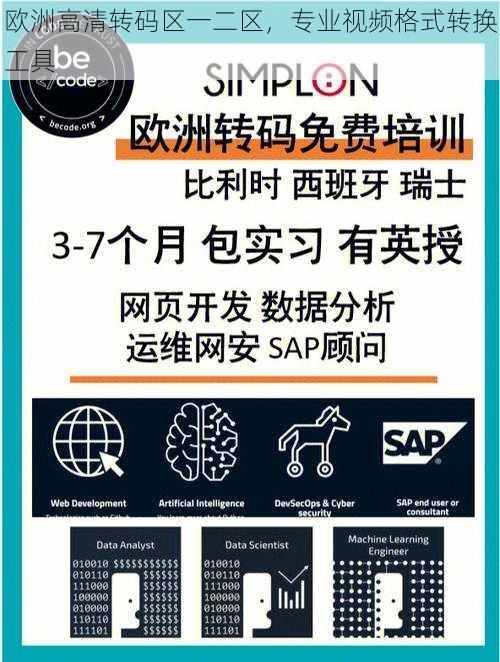 欧洲高清转码区一二区，专业视频格式转换工具