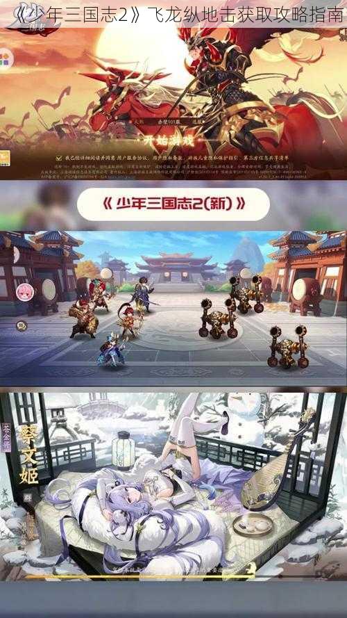 《少年三国志2》飞龙纵地击获取攻略指南