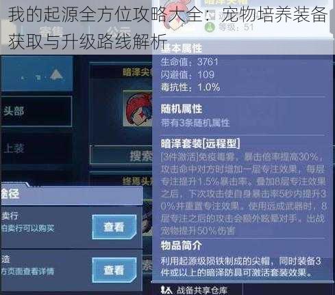 我的起源全方位攻略大全：宠物培养装备获取与升级路线解析