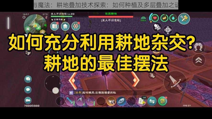 创造与魔法：耕地叠加技术探索：如何种植及多层叠加之谜揭秘