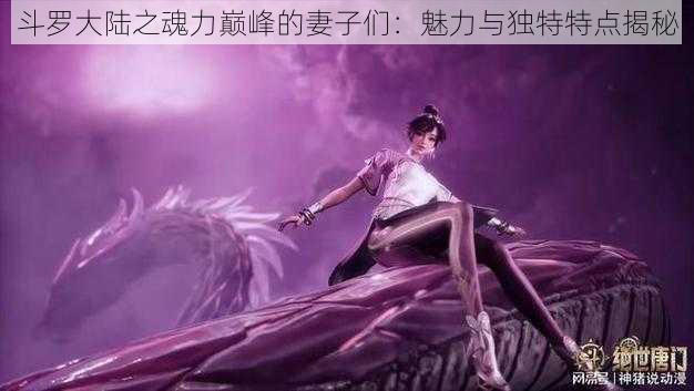 斗罗大陆之魂力巅峰的妻子们：魅力与独特特点揭秘