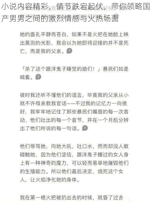 小说内容精彩，情节跌宕起伏，带你领略国产男男之间的激烈情感与火热场面