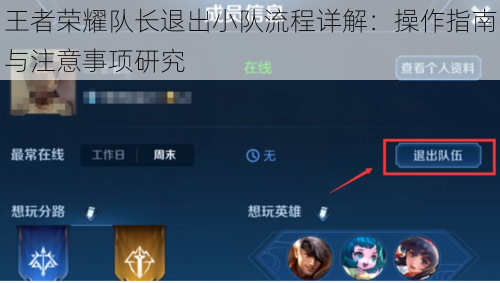 王者荣耀队长退出小队流程详解：操作指南与注意事项研究