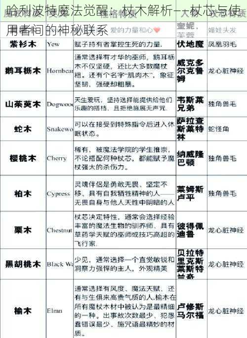 哈利波特魔法觉醒：杖木解析——杖芯与使用者间的神秘联系