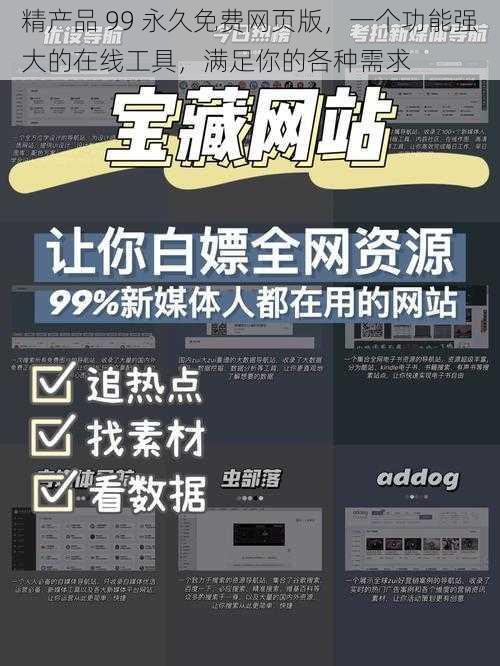 精产品 99 永久免费网页版，一个功能强大的在线工具，满足你的各种需求