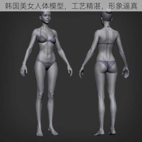 韩国美女人体模型，工艺精湛，形象逼真