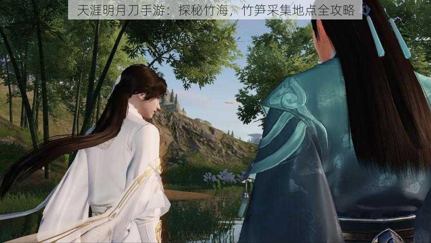 天涯明月刀手游：探秘竹海，竹笋采集地点全攻略