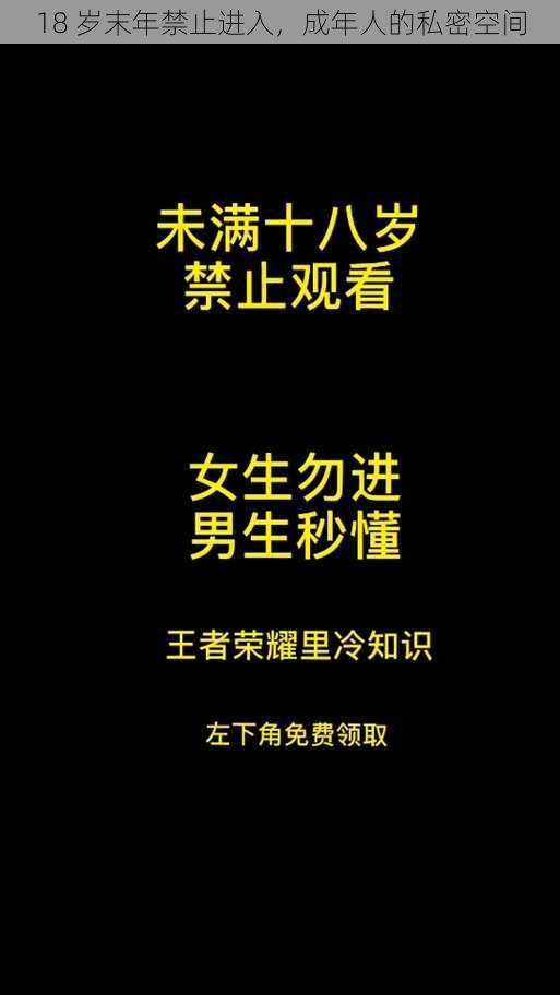 18 岁末年禁止进入，成年人的私密空间