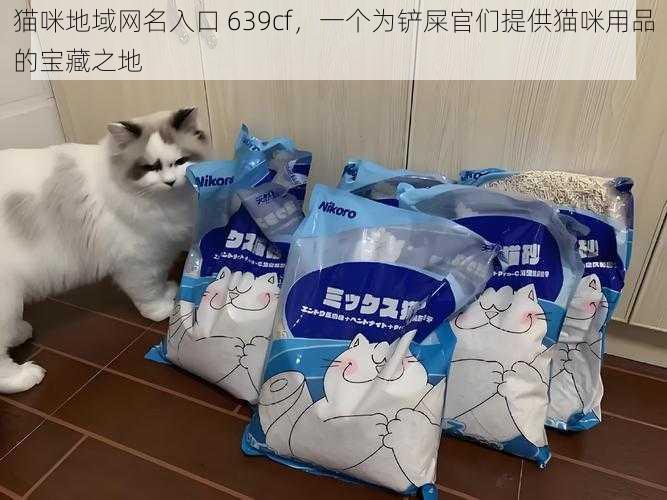 猫咪地域网名入口 639cf，一个为铲屎官们提供猫咪用品的宝藏之地