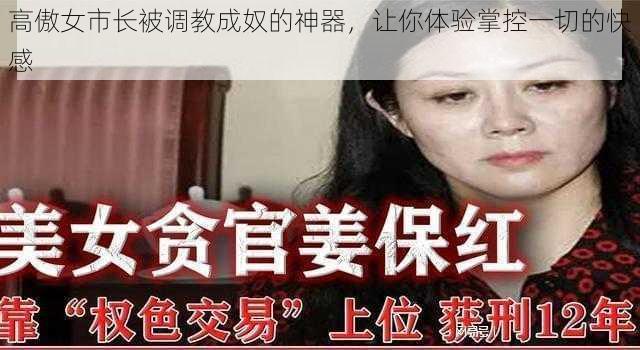 高傲女市长被调教成奴的神器，让你体验掌控一切的快感