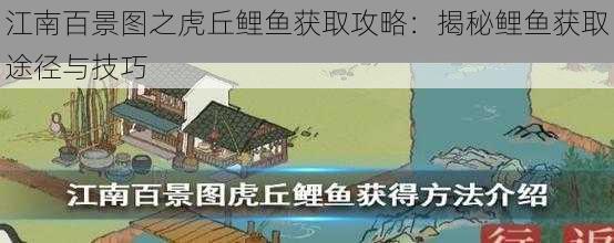 江南百景图之虎丘鲤鱼获取攻略：揭秘鲤鱼获取途径与技巧