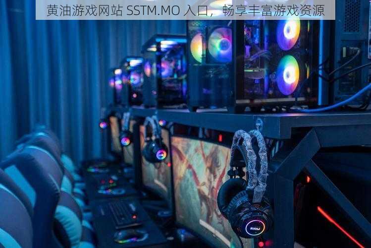 黄油游戏网站 SSTM.MO 入口，畅享丰富游戏资源