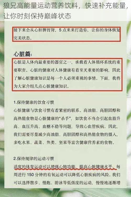 狼兄高能量运动营养饮料，快速补充能量，让你时刻保持巅峰状态