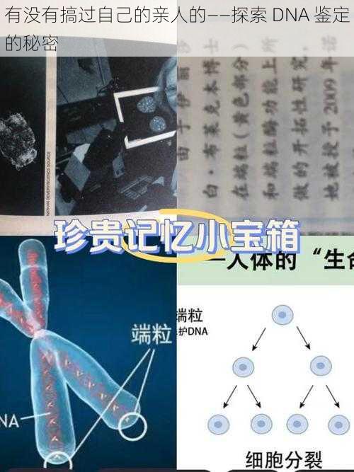 有没有搞过自己的亲人的——探索 DNA 鉴定的秘密