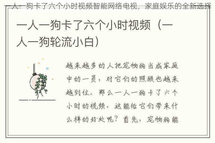 一人一狗卡了六个小时视频智能网络电视，家庭娱乐的全新选择