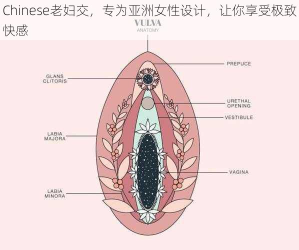 Chinese老妇交，专为亚洲女性设计，让你享受极致快感