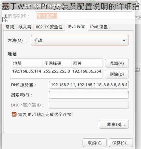 基于Wand Pro安装及配置说明的详细指南