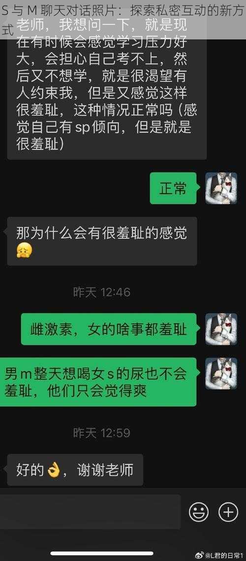 S 与 M 聊天对话照片：探索私密互动的新方式