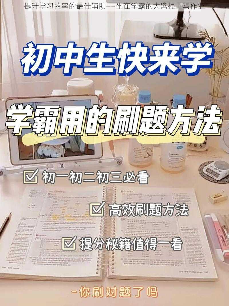 提升学习效率的最佳辅助——坐在学霸的大紫根上写作业