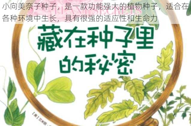 小向美奈子种子，是一款功能强大的植物种子，适合在各种环境中生长，具有很强的适应性和生命力