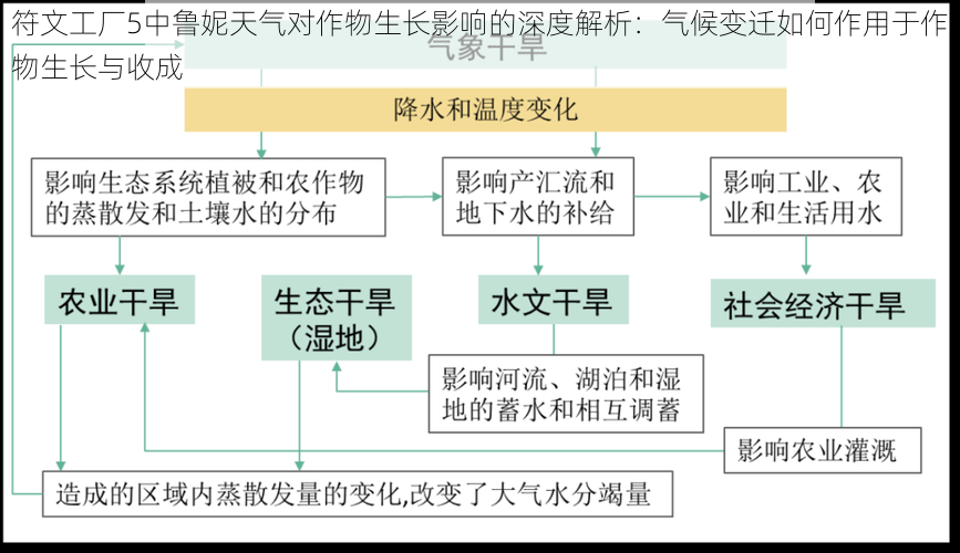 符文工厂5中鲁妮天气对作物生长影响的深度解析：气候变迁如何作用于作物生长与收成