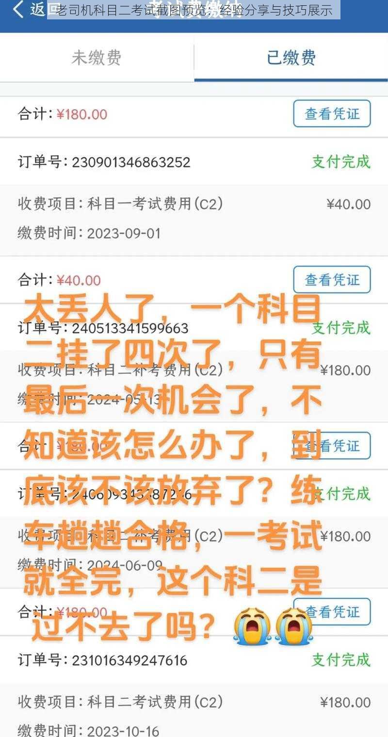 老司机科目二考试截图预览：经验分享与技巧展示