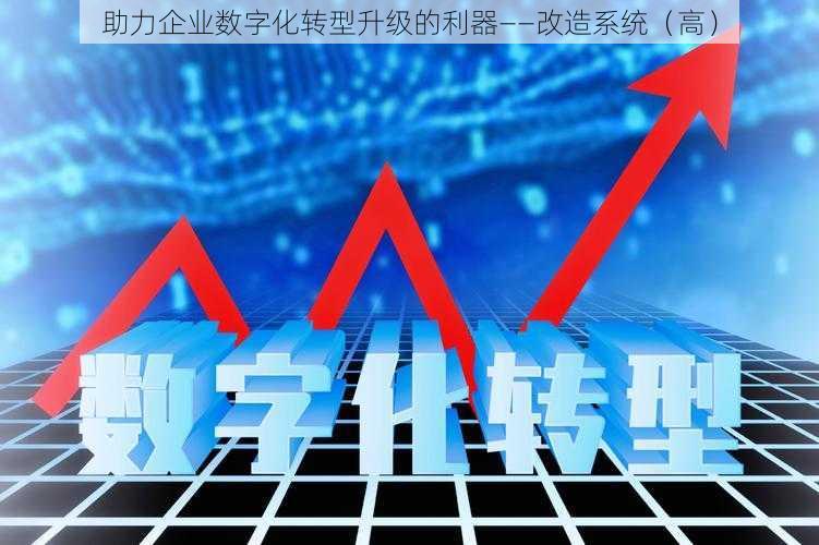 助力企业数字化转型升级的利器——改造系统（高）