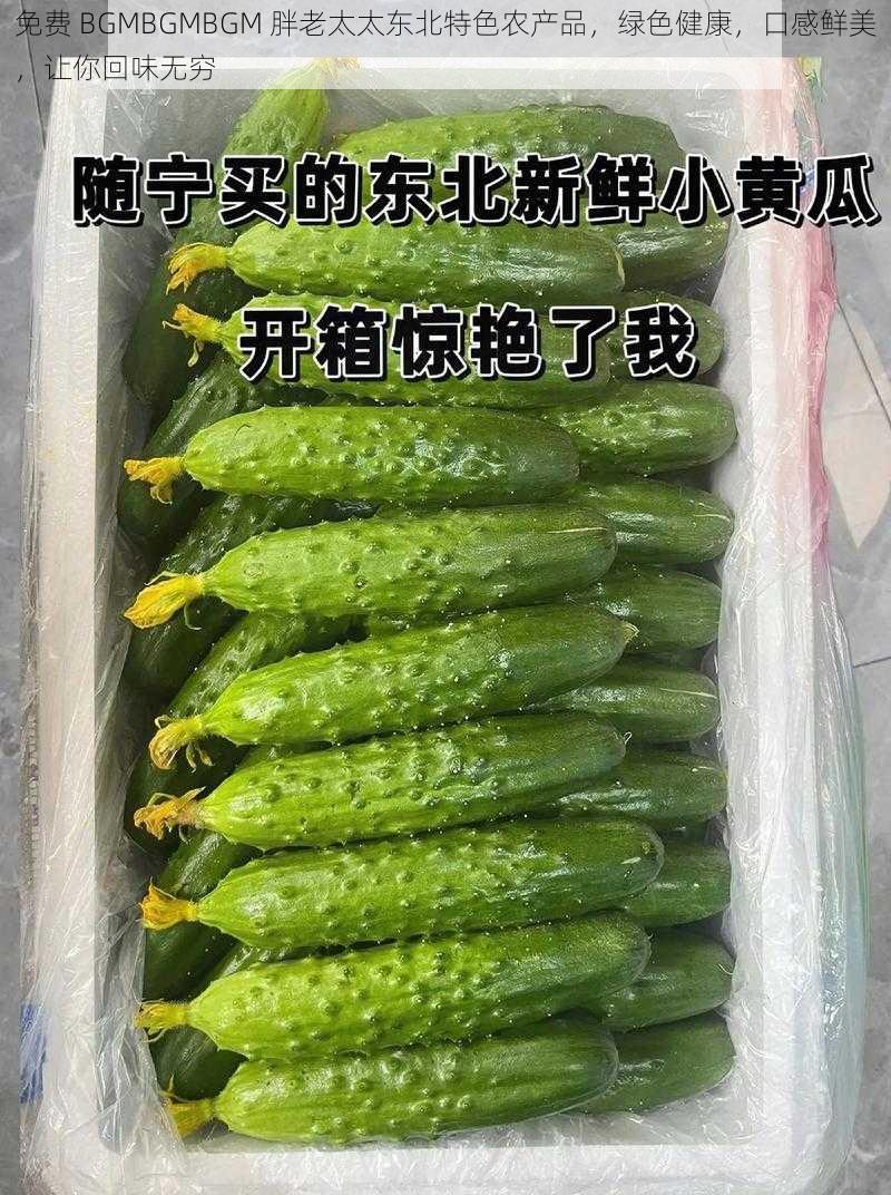 免费 BGMBGMBGM 胖老太太东北特色农产品，绿色健康，口感鲜美，让你回味无穷